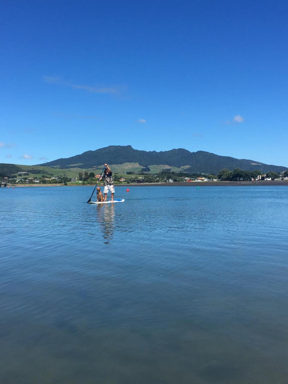 Raglan Backpackers旅舍 外观 照片